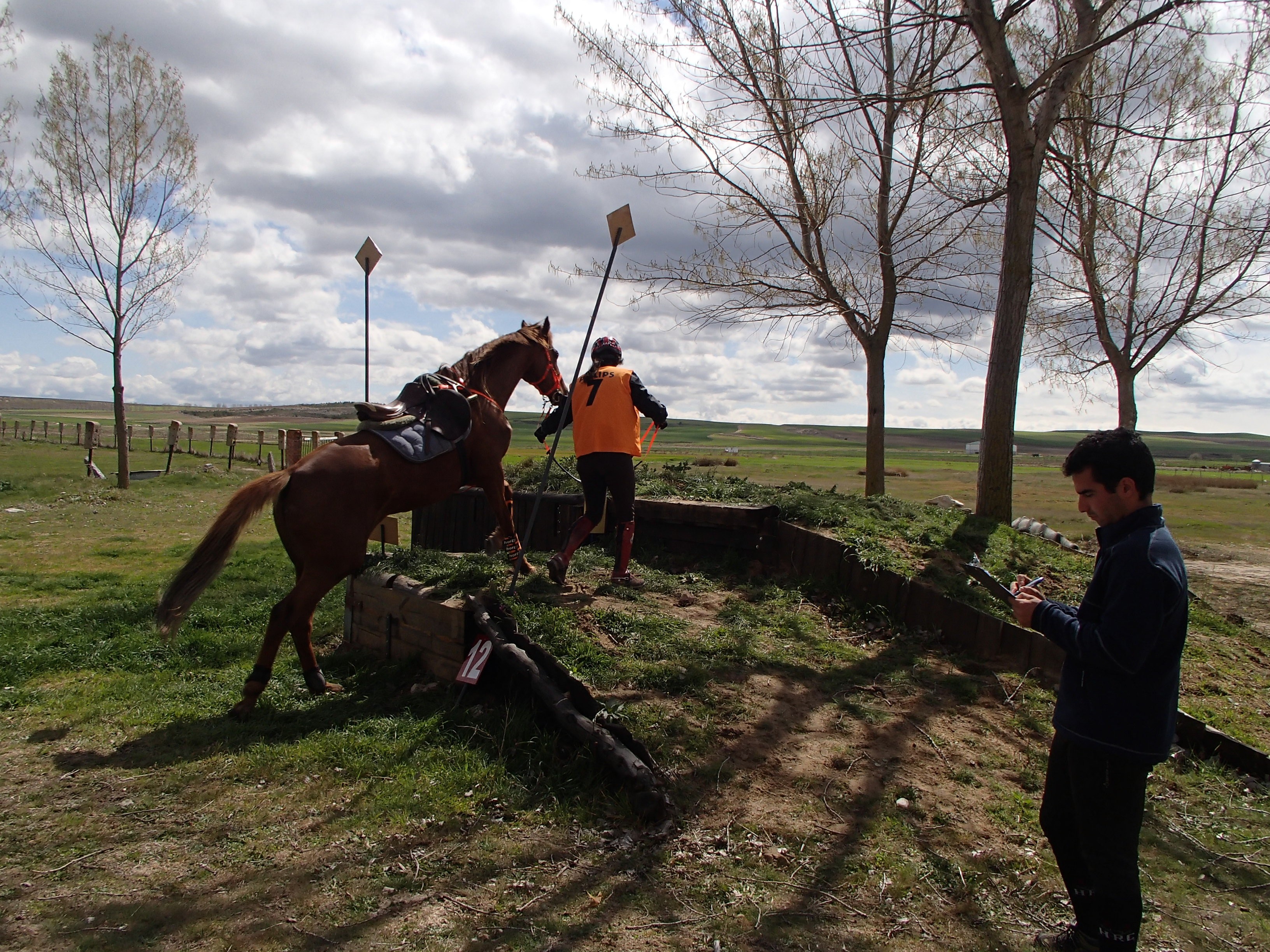 Éxito deportivo de los Navarros en el Concurso Internacional ** Alta Moraña celebrado en Riocabado